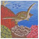 Reef