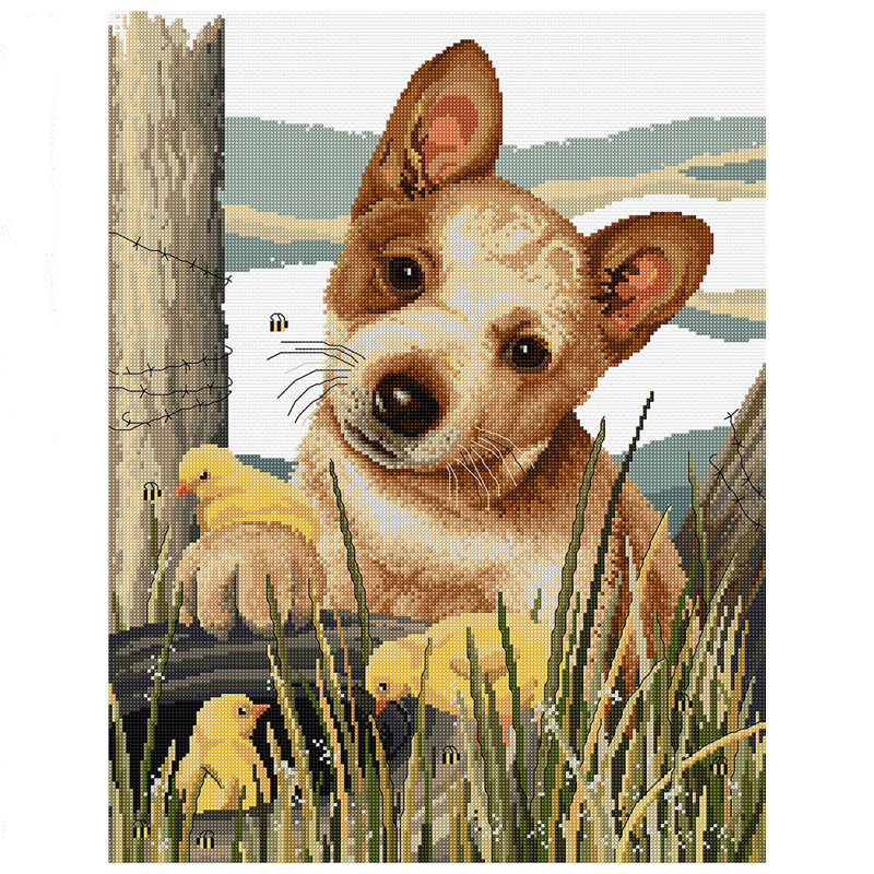 Little Red Cattle Dog FJ-1092