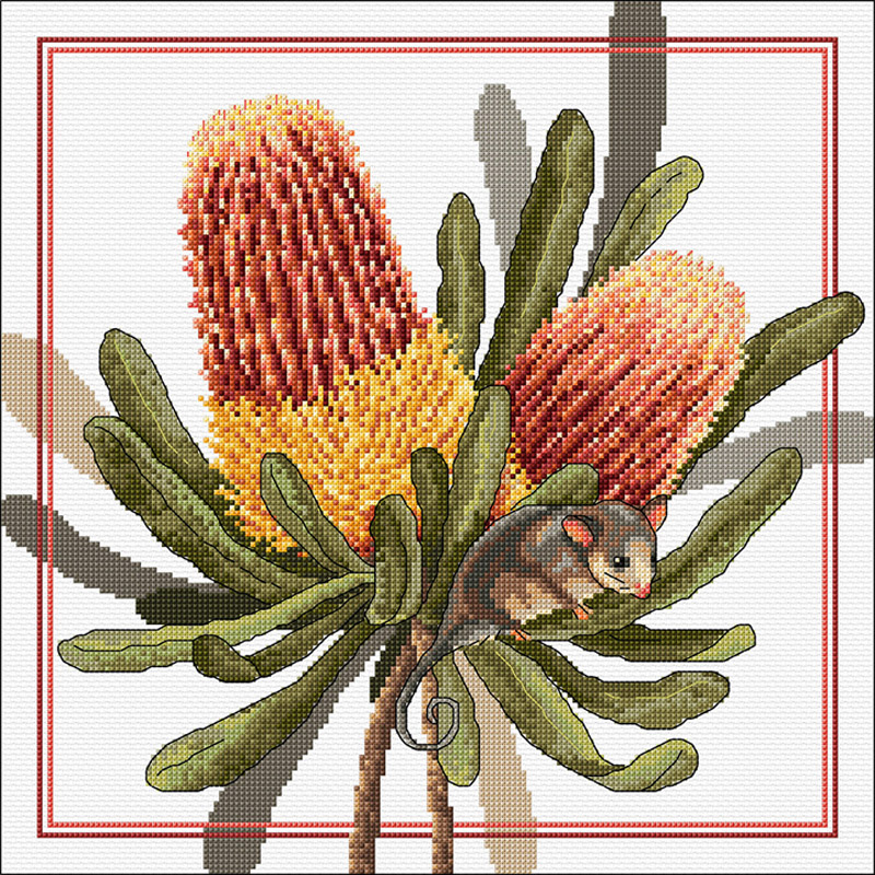 Banksias & Pigmy Possum FJ-2018