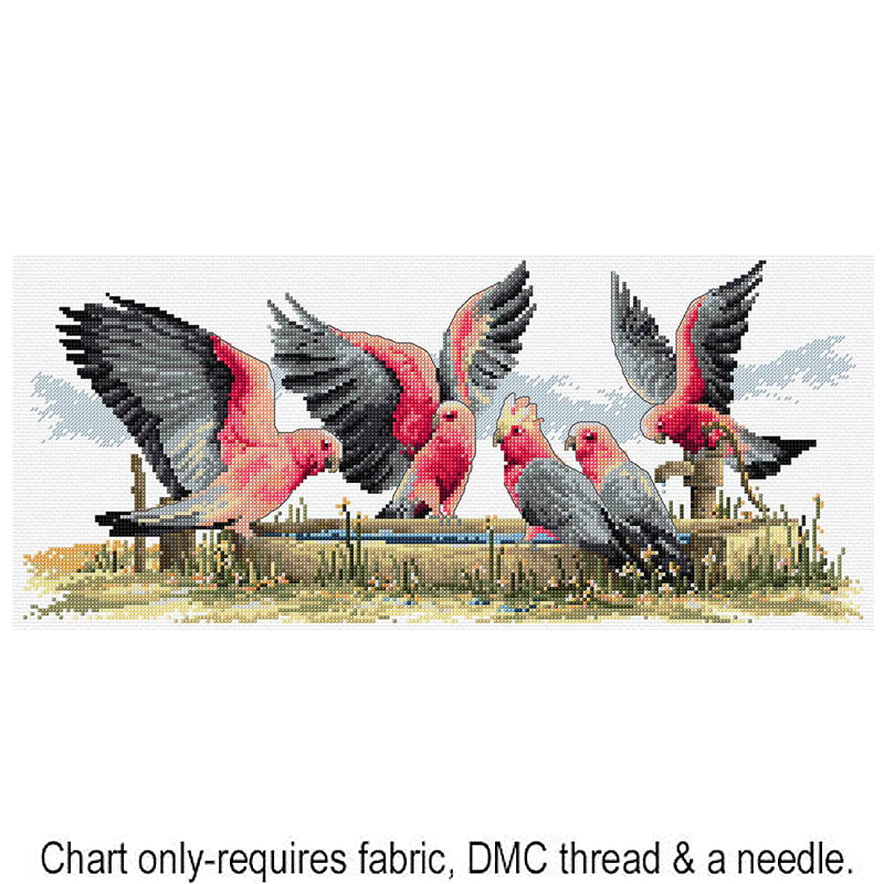 Galahs by the Water Pump FJP-1006