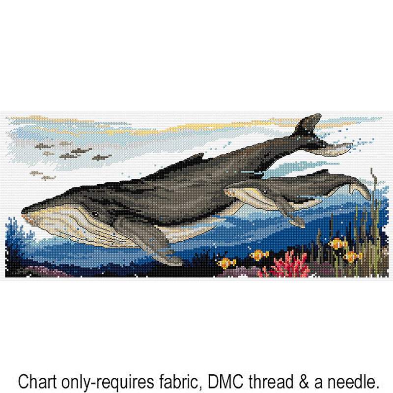 Humpback Whales FJP-1017