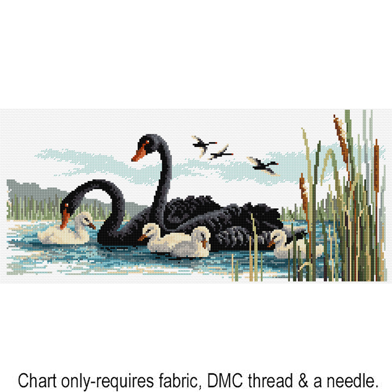 Black Swans FJP-1018