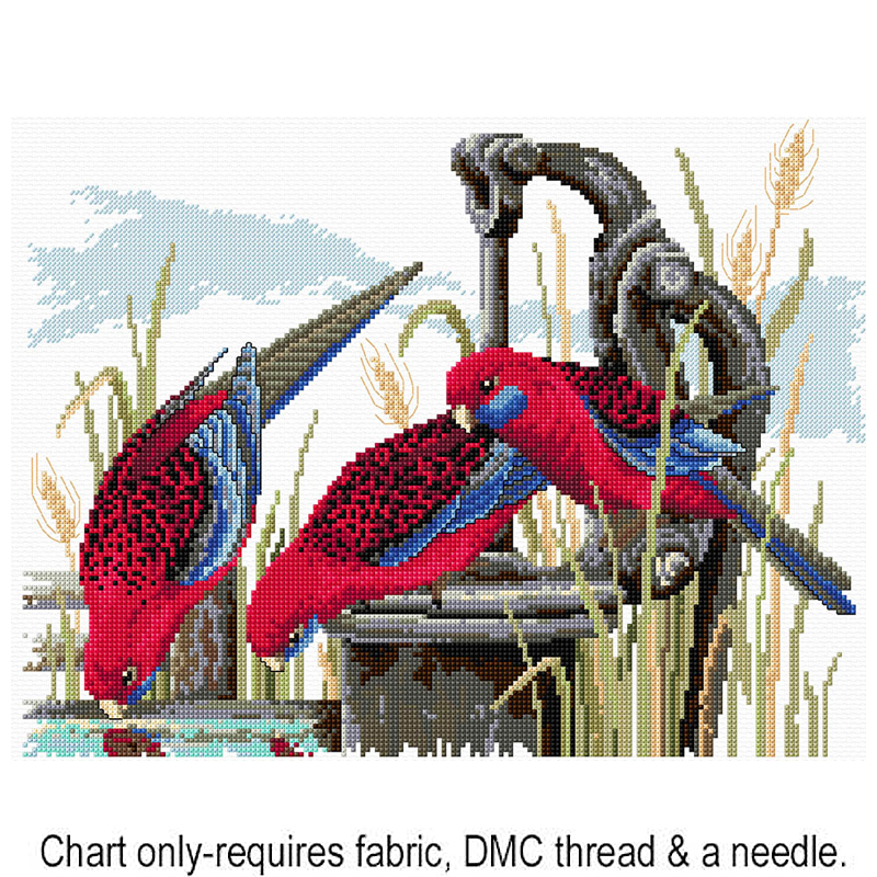 Crimson Rosellas FJP-1025