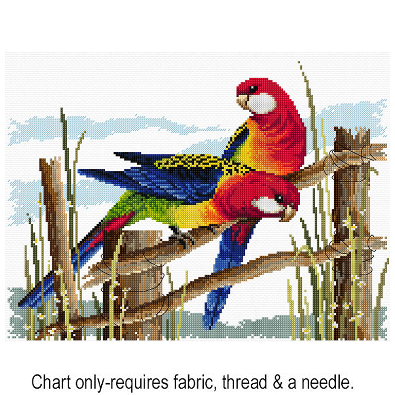 Eastern Rosellas FJP-1036