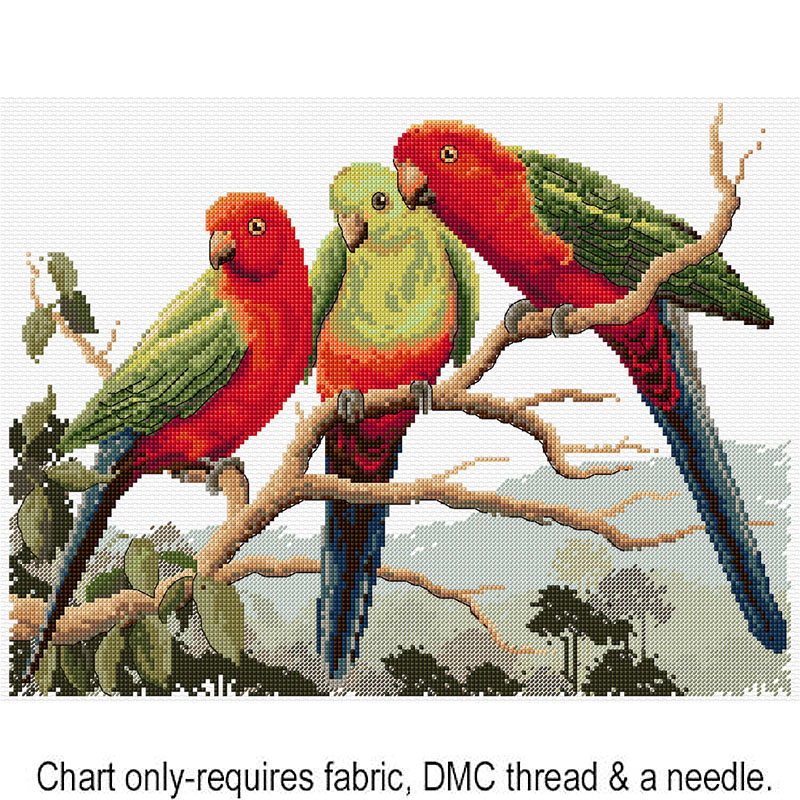 King Parrots FJP-1065