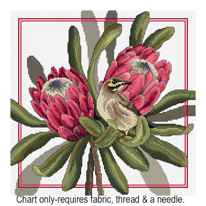 Proteas & Honeyeaters FJP-2017