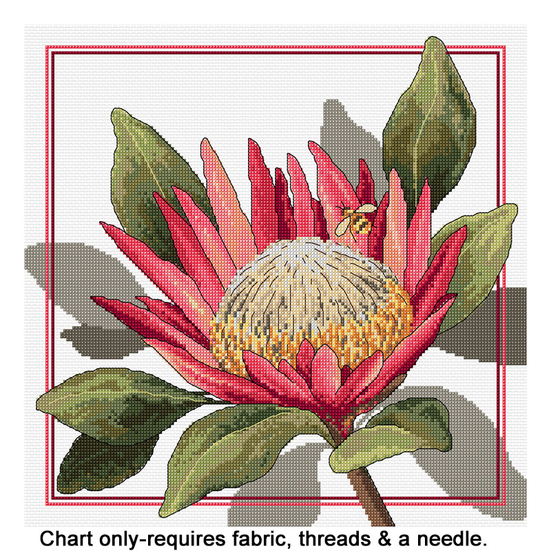 King Protea FJP-2021