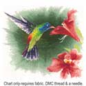 Hummingbird in Flight FFHF539
