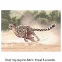 Cheetah PGCH617