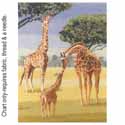 Giraffes PGGI1023