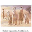 Meerkats PGMK639