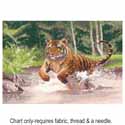 Tiger PGTI1009