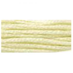 DMC Stranded Cotton 10