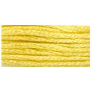 DMC Stranded Cotton 17
