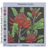 Waratah NP.001
