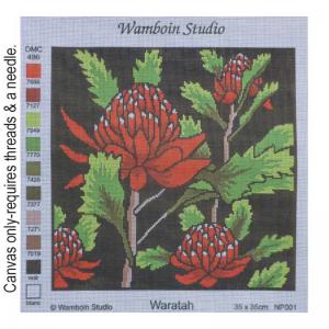 Waratah NP.001