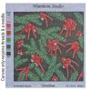 Grevillea NP.007