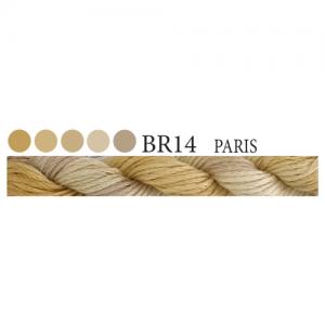 CGT BR14 Paris Stranded Cotton