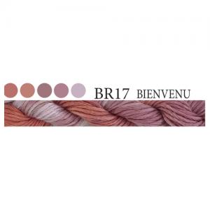 CGT BR17 Bienvenu Stranded Cotton