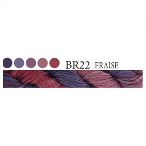 CGT BR22 Fraise Stranded Cotton