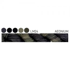 CGT LM24 Aeonium Stranded Cotton