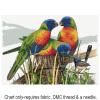 Lots of Lorikeets FJP-1072