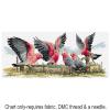 Galahs by the Water Pump FJP-1006