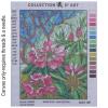 Tiffany Pink Agapanthus 10.511w