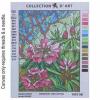 Tiffany Pink Agapanthus 10.511w