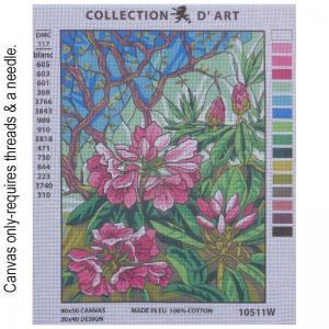 Tiffany Pink Agapanthus 10.511w
