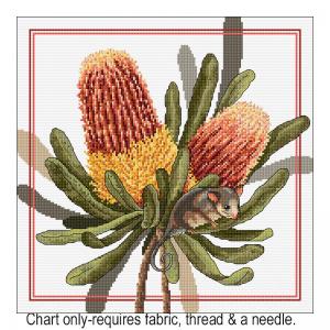 Banksias & Pigmy Possum FJP-2018