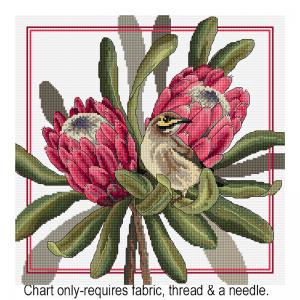 Proteas & Honeyeaters FJP-2017
