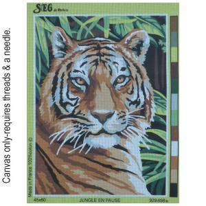 Jungle en pause 929.698