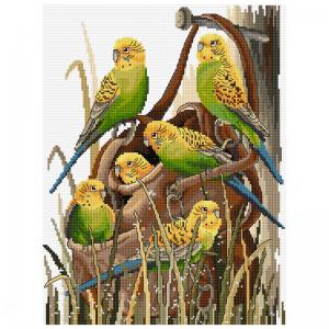 Bush Budgies FJ-1095