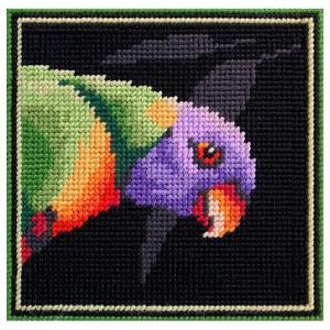 Rainbow Lorikeet FTK-003