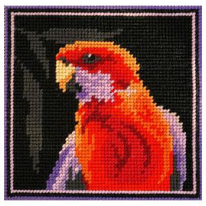 Crimson Rosella FTK-004