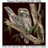 Australian Birds-2 FJP-1040-46