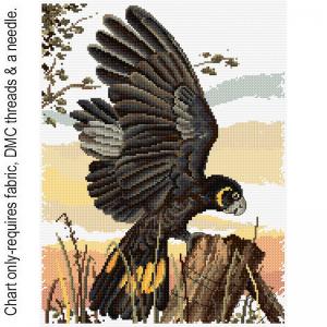 Black Cockatoo FJP-1066