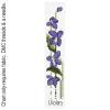Bookmarks-2 FJP-013-016
