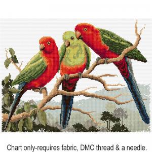 King Parrots FJP-1065