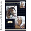 Majestic Horses FJP-1029-32