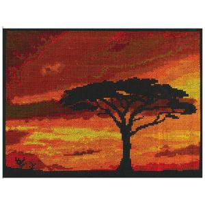 Savannah Sunset BK1721