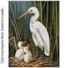 Egrets FJP-1104