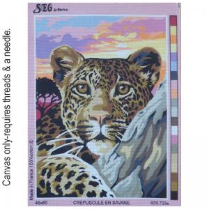 Crepuscule en Savane 929.733