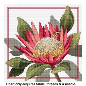 King Protea FJP-2021