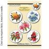 Wildflower Mini's-1 FJP-057-64