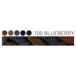 CGT 700 Blueberry Stranded Cotton