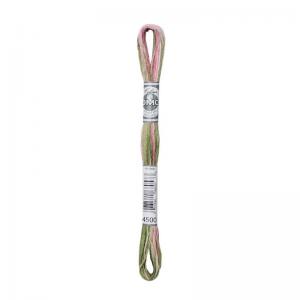 Coloris 4500 Silver Green