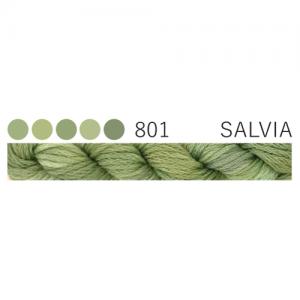 CGT 801 Salvia Stranded Cotton
