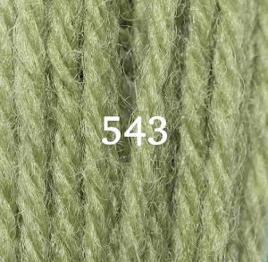 Appletons Crewel Wool Skein 543 Early English Green